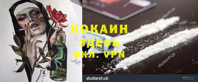 цена наркотик  Алексин  Cocaine VHQ 